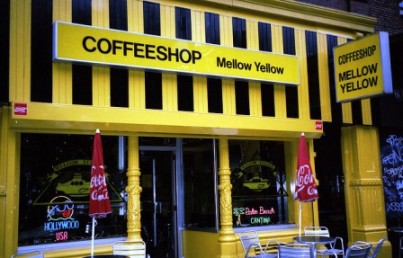 Coffee Shop Revenue on Amsterdam Coffee Shop